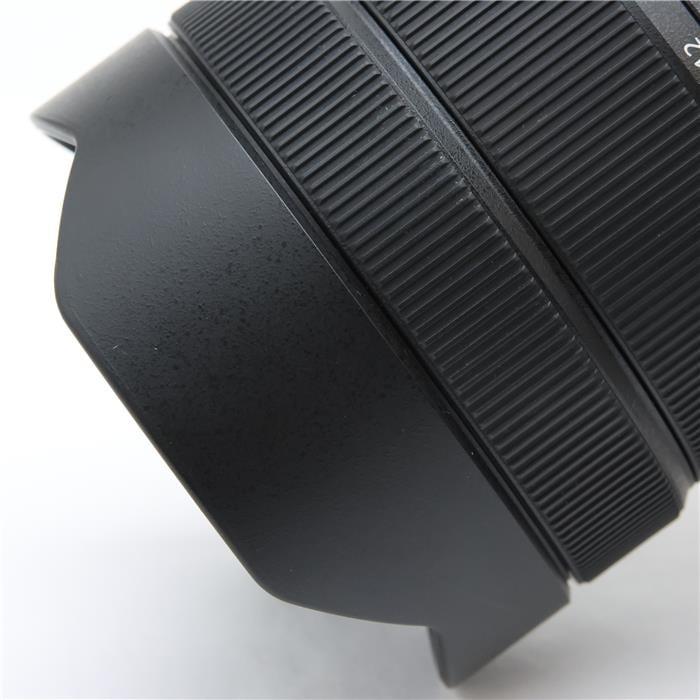 FE 12-24mm F4 G SEL1224G