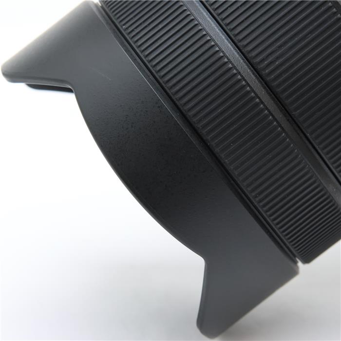 FE 12-24mm F4 G SEL1224G