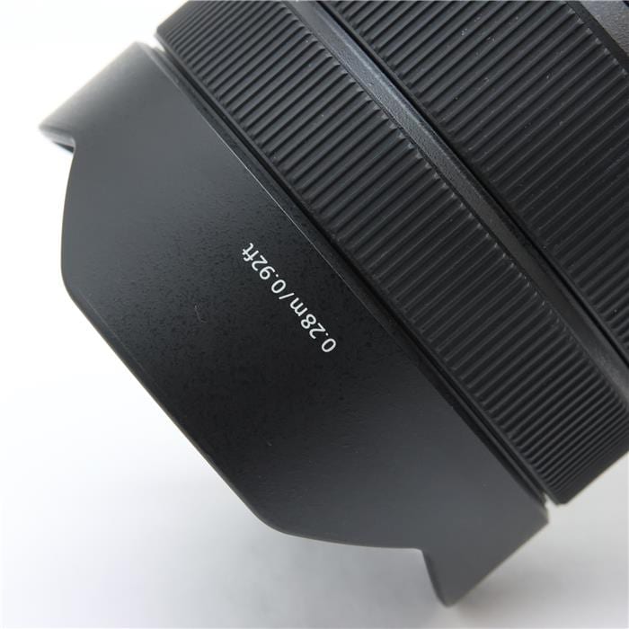 FE 12-24mm F4 G SEL1224G