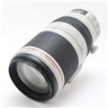 Canon (キヤノン) EF100-400mm F4.5-5.6L IS II USM