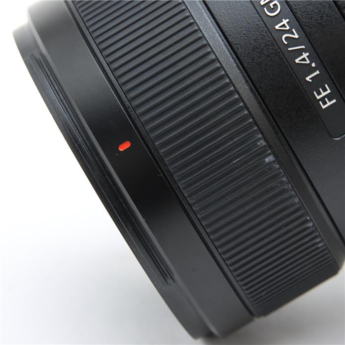 FE 24mm F1.4 GM SEL24F14GM