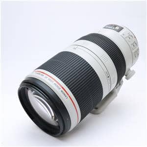 Canon (キヤノン) EF100-400mm F4.5-5.6L IS USM」の商品検索結果