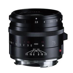Voigtlander (フォクトレンダー) APO-SKOPAR 75mm F2.8 VM （ライカM用） ブラック メイン