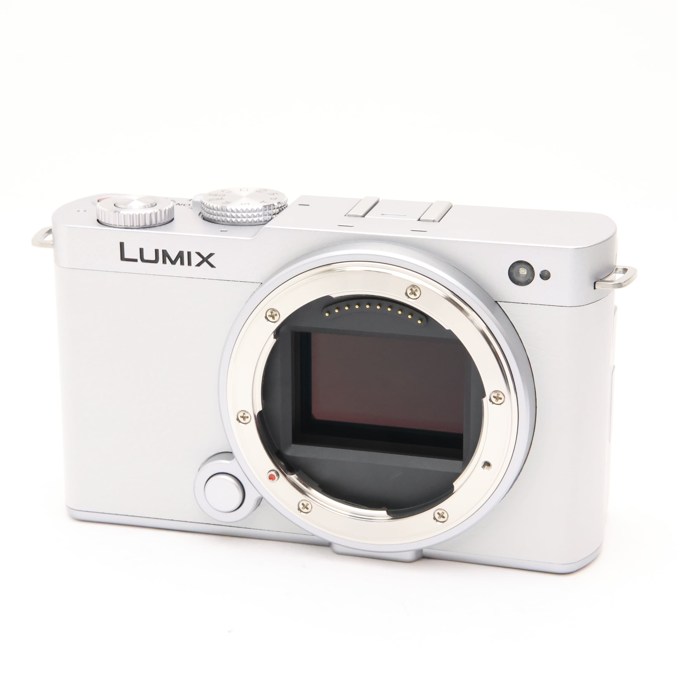 中古)Panasonic (パナソニック) LUMIX S9 ボディ DC-S9 エクステリア張
