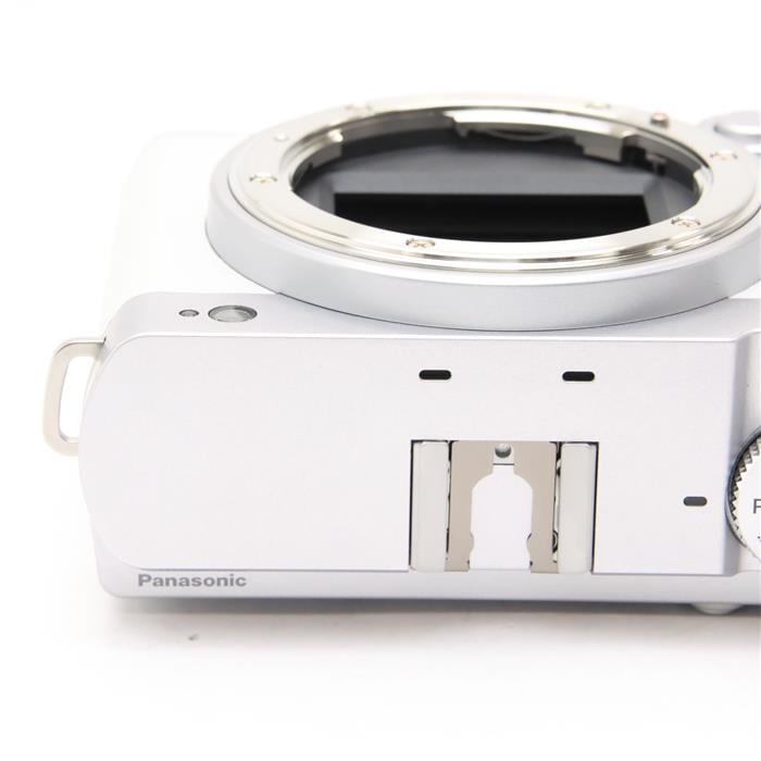 中古)Panasonic (パナソニック) LUMIX S9 ボディ DC-S9 エクステリア張