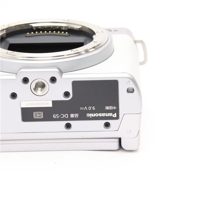 中古)Panasonic (パナソニック) LUMIX S9 ボディ DC-S9 エクステリア張