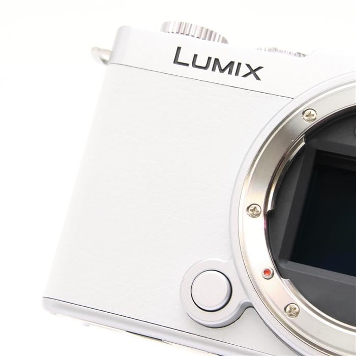 中古)Panasonic (パナソニック) LUMIX S9 ボディ DC-S9 エクステリア張