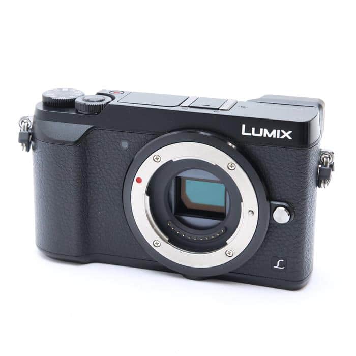 パナソニック（Panasonic）GX7MK2 H-X015 H-FS12060 子供撮りに