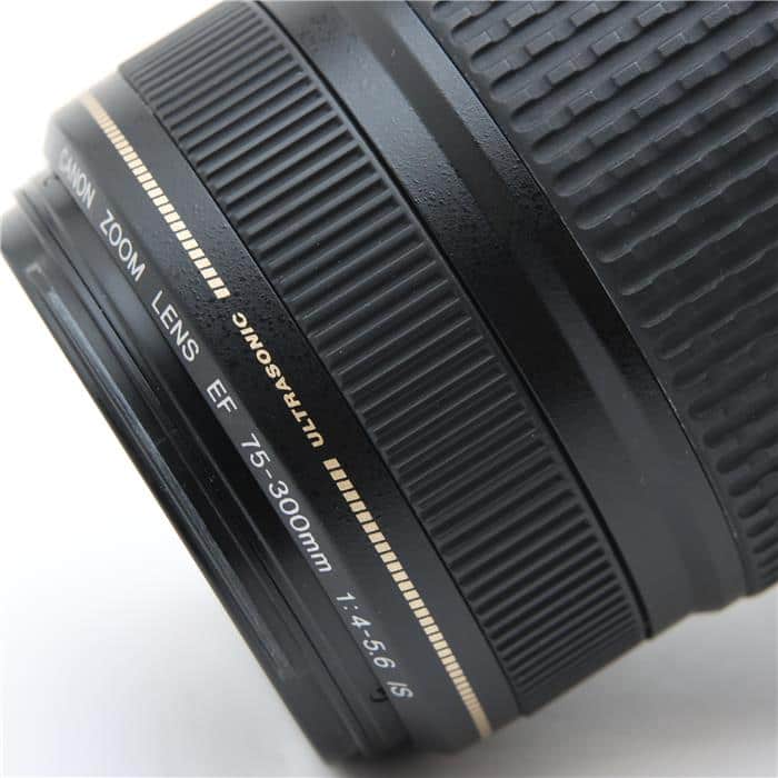 EF75-300mm F4-5.6 IS USM