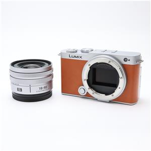Panasonic (パナソニック) LUMIX S9 広角ズームレンズキット DC-S9N-D