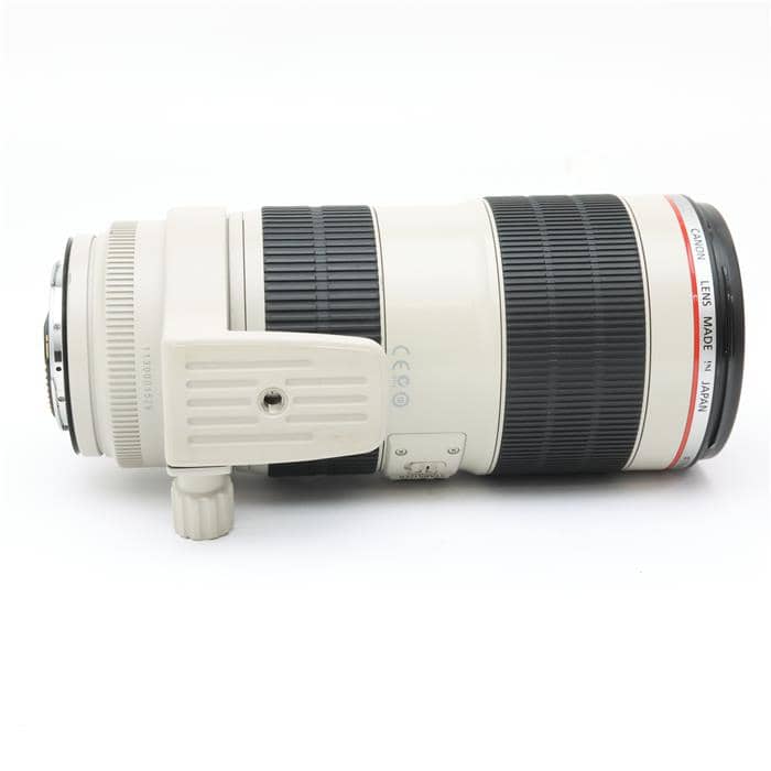EF70-200mmF2.8L IS IIUSMエクステンダーEF1.4X ⅲ