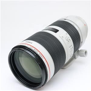 Canon EF70-200mm F2.8L IS III USM」の商品検索結果 | デジタル
