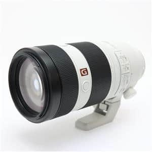 SONYFE100-400 GM OSS ズームレンズ SONY FE 100-400mm F4.5-5.6 GM OSS (SEL100400GM)実写レビュー