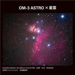 OM SYSTEM（オーエムシステム） OM-3 ASTRO シルバー