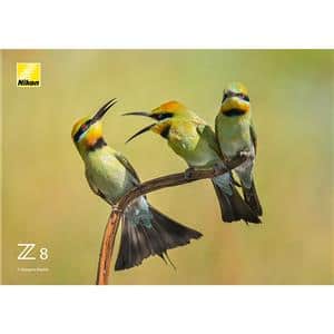 Nikon (ニコン) Z8