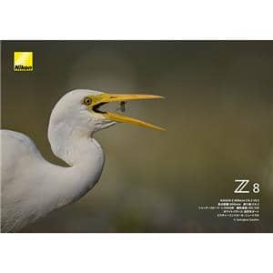 Nikon (ニコン) Z8