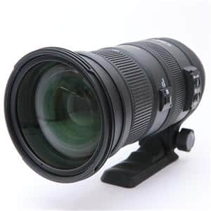 SIGMA APO 50-500mm F4.5-6.3 DG OS HSM」の商品検索結果 | デジタル