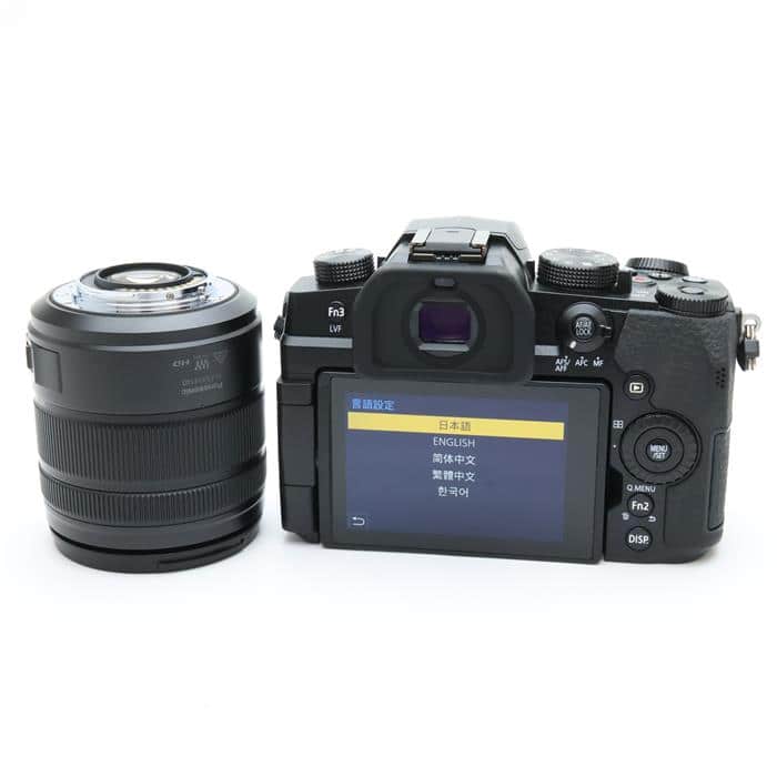 即日発送/Panasonic DC-G99H 【付属品多数】 即日発送/Panasonic DC-G99H 【付属品多数】