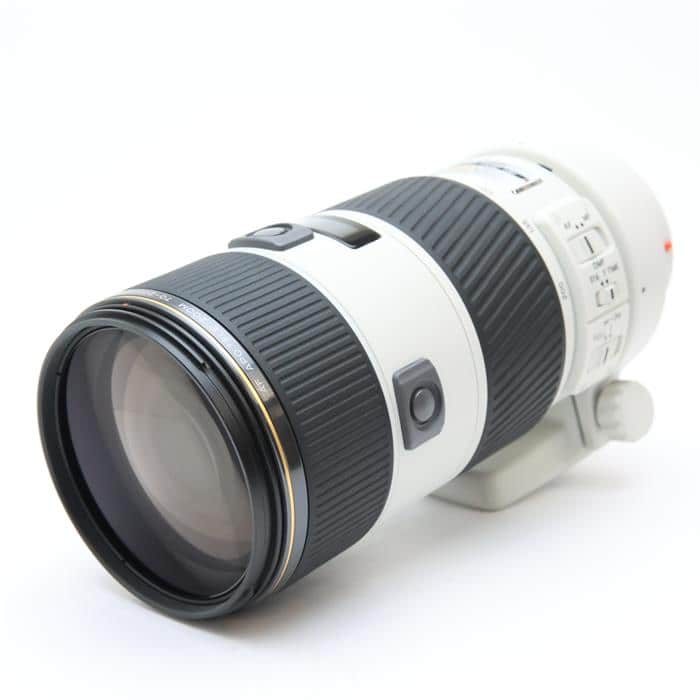 AF 70-200mm F2.8 G (D) SSM