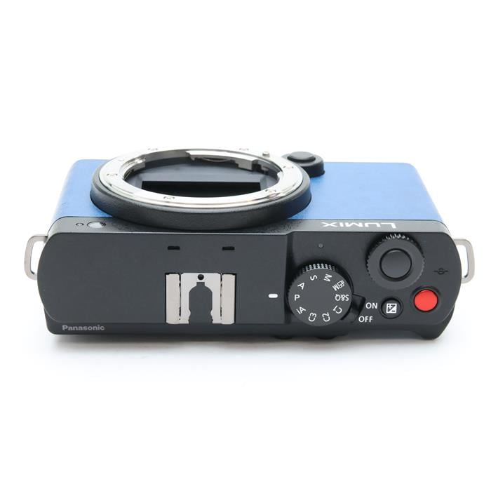 LUMIX S9 ボディ DC-S9-K エクステリア張替済み