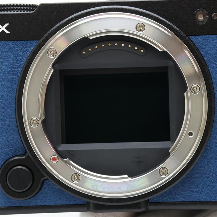 LUMIX S9 ボディ DC-S9-K エクステリア張替済み