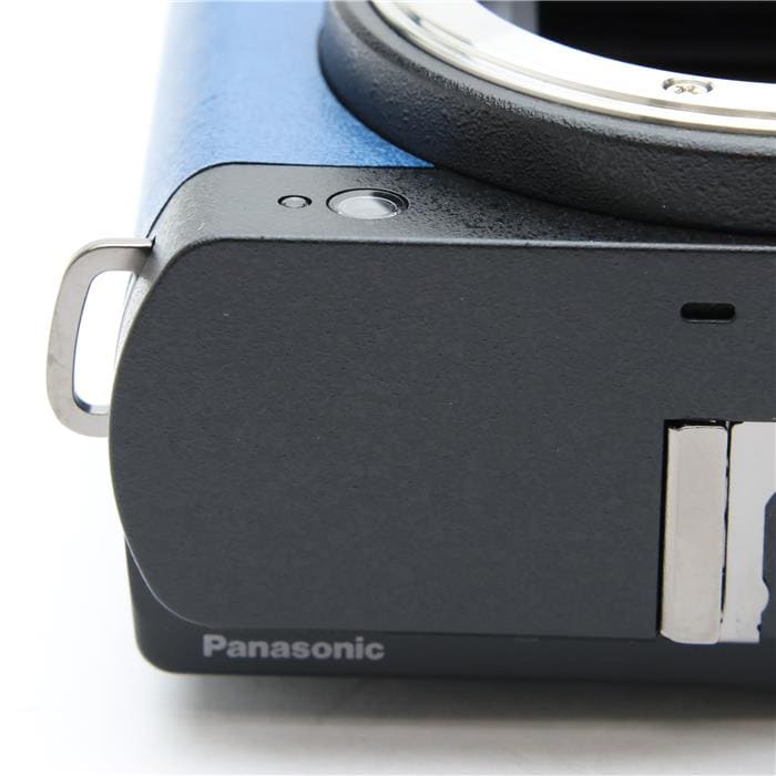 LUMIX S9 ボディ DC-S9-K エクステリア張替済み