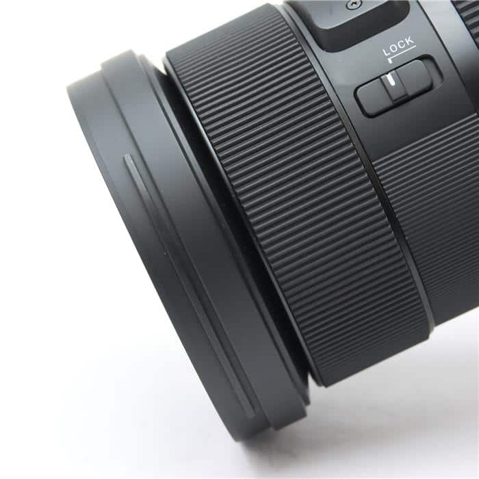 Art 24-70mm F2.8 DG DN (ライカSL/TL用)