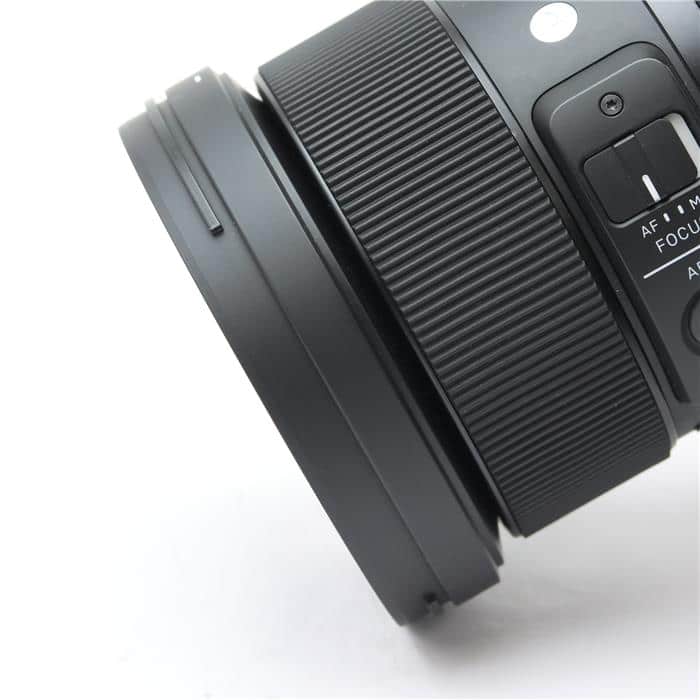 Art 24-70mm F2.8 DG DN (ライカSL/TL用)