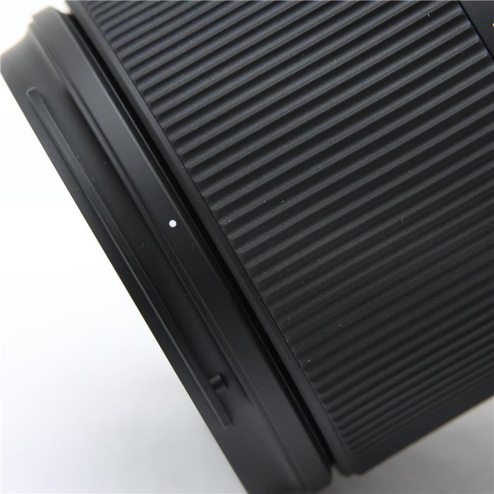 25-200mm F2.8-5.6 Di III VXD G2/ Model A075S (ソニーE用/フルサイズ対応)