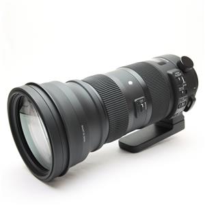 sigma 150-600mm f5-6.3 dg nikon」の商品検索結果 | デジタルカメラ