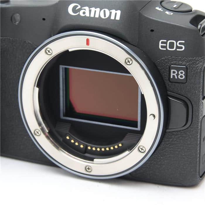 EOS R8 ボディ