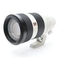 FE 100-400mm F4.5-5.6 GM OSS SEL100400GM