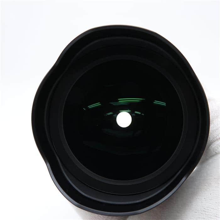 SP 15-30mm F2.8 Di VC USD G2 A041N (ニコンF用)