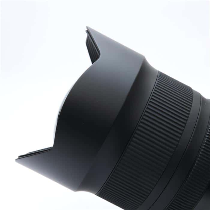 SP 15-30mm F2.8 Di VC USD G2 A041N (ニコンF用)