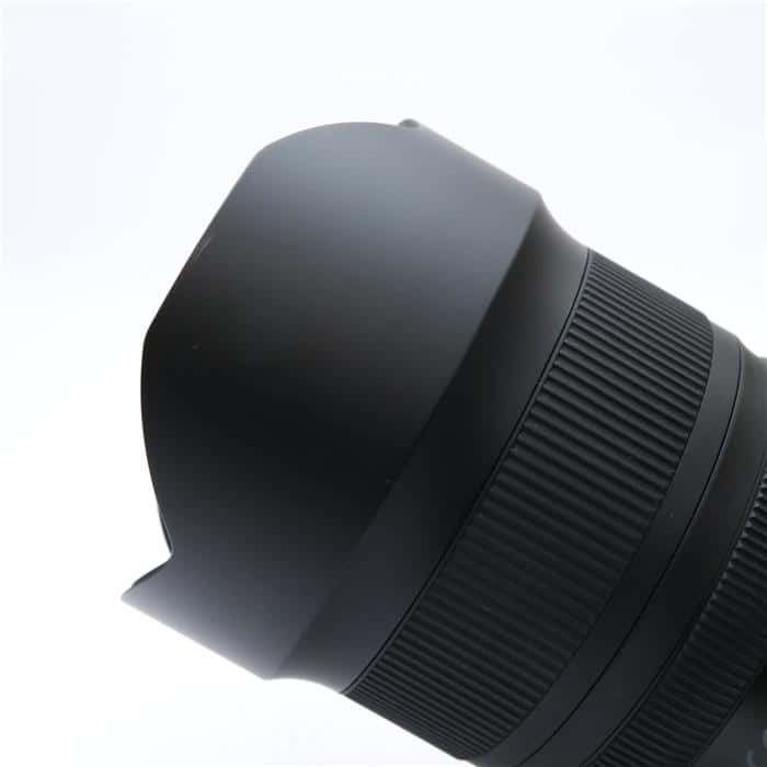SP 15-30mm F2.8 Di VC USD G2 A041N (ニコンF用)