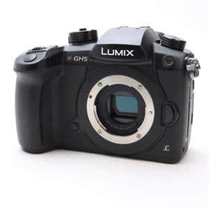 Panasonic (パナソニック) LUMIX DC-GH5 ボディ メイン