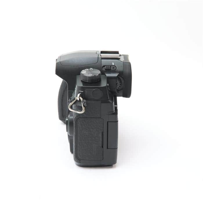 LUMIX DC-G99 ボディ