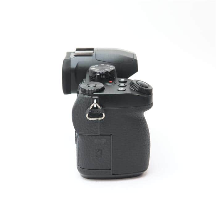 LUMIX DC-G99 ボディ