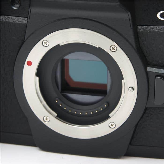 LUMIX DC-G99 ボディ