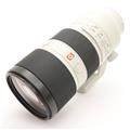SONY (ソニー) FE 70-200mm F2.8 GM OSS SEL70200GM