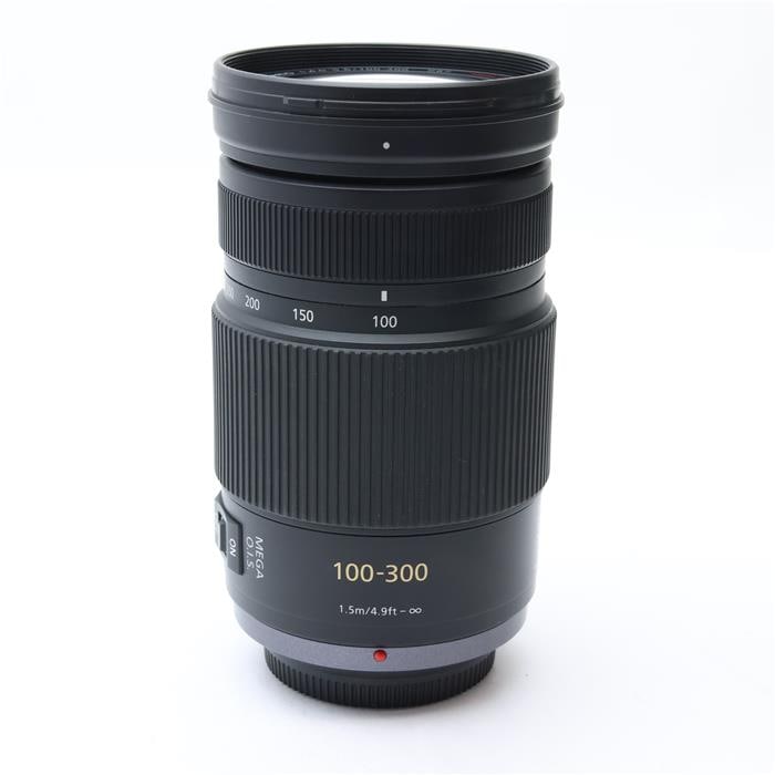 LUMIX G VARIO 100-300mm F4.0-5.6 MEGA O.I.S.