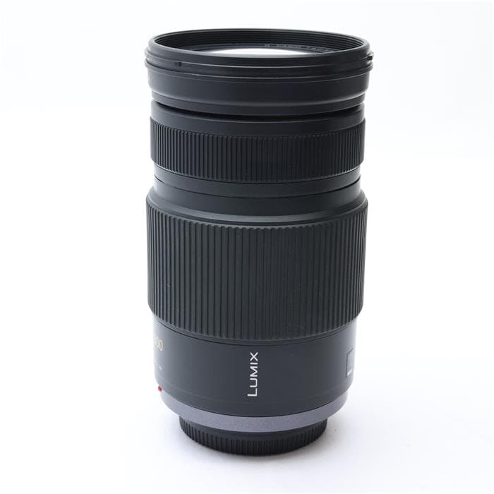 LUMIX G VARIO 100-300mm F4.0-5.6 MEGA O.I.S.