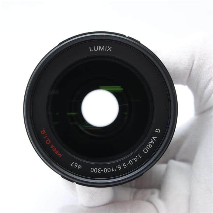 LUMIX G VARIO 100-300mm F4.0-5.6 MEGA O.I.S.