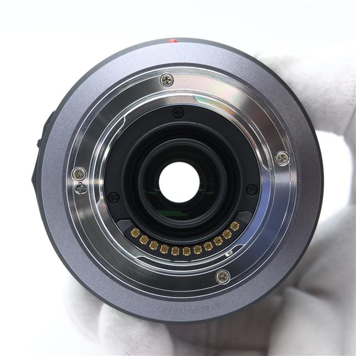 LUMIX G VARIO 100-300mm F4.0-5.6 MEGA O.I.S.