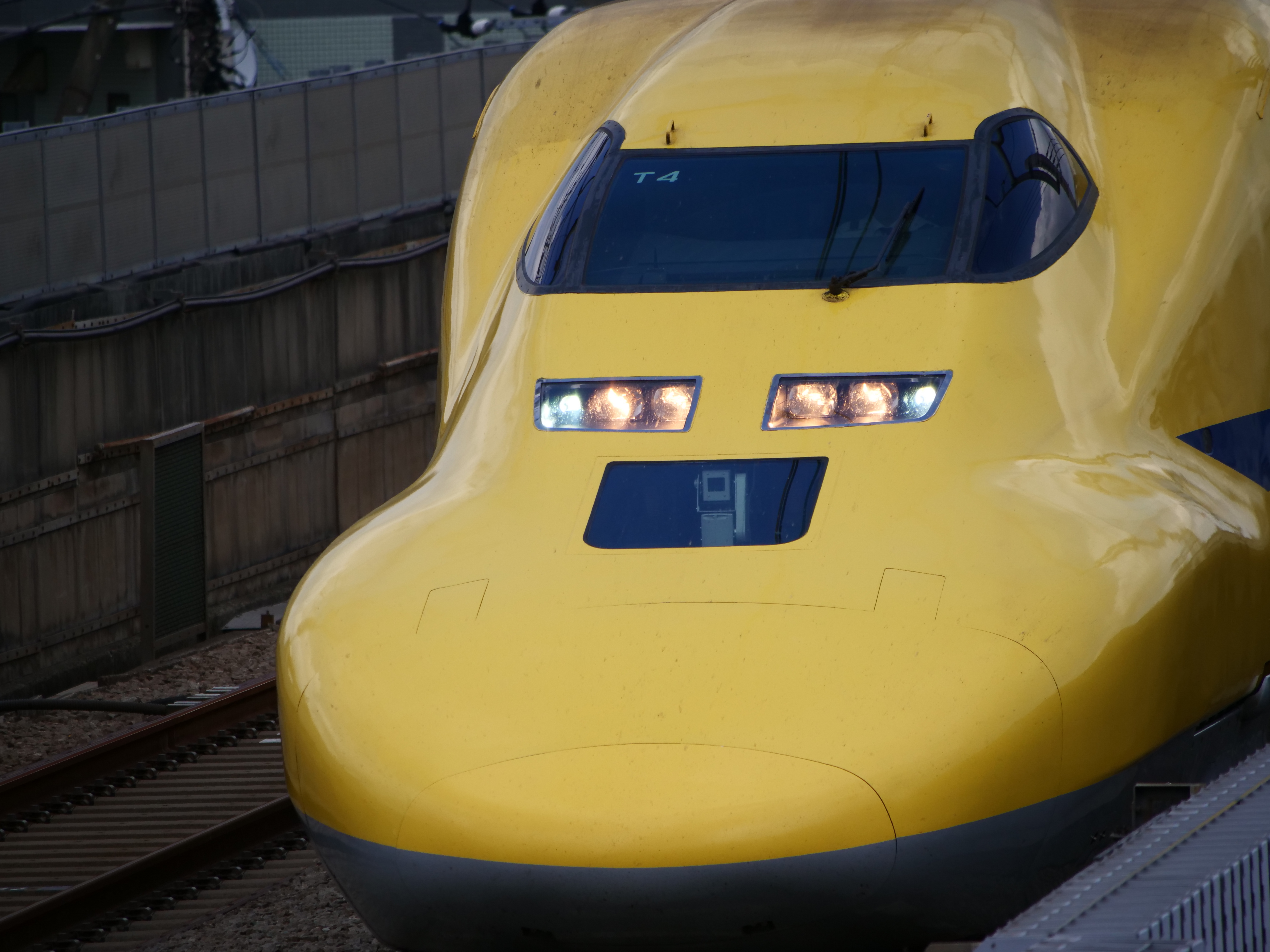 コミュレビ」「エブリバディ・コンシェルジュ」｜マップカメラ｜日本
