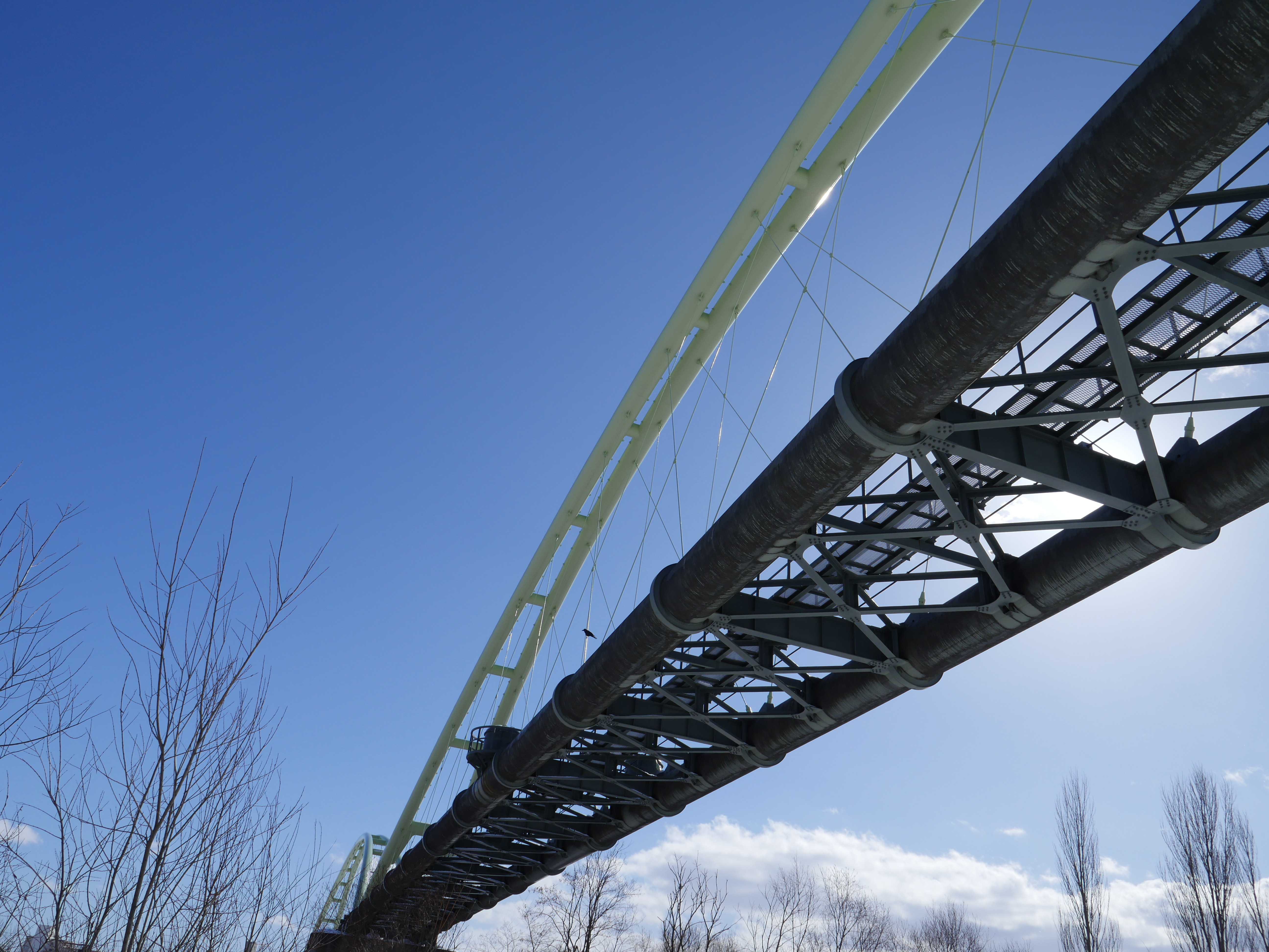 コミュレビ」「エブリバディ・コンシェルジュ」｜マップカメラ｜日本