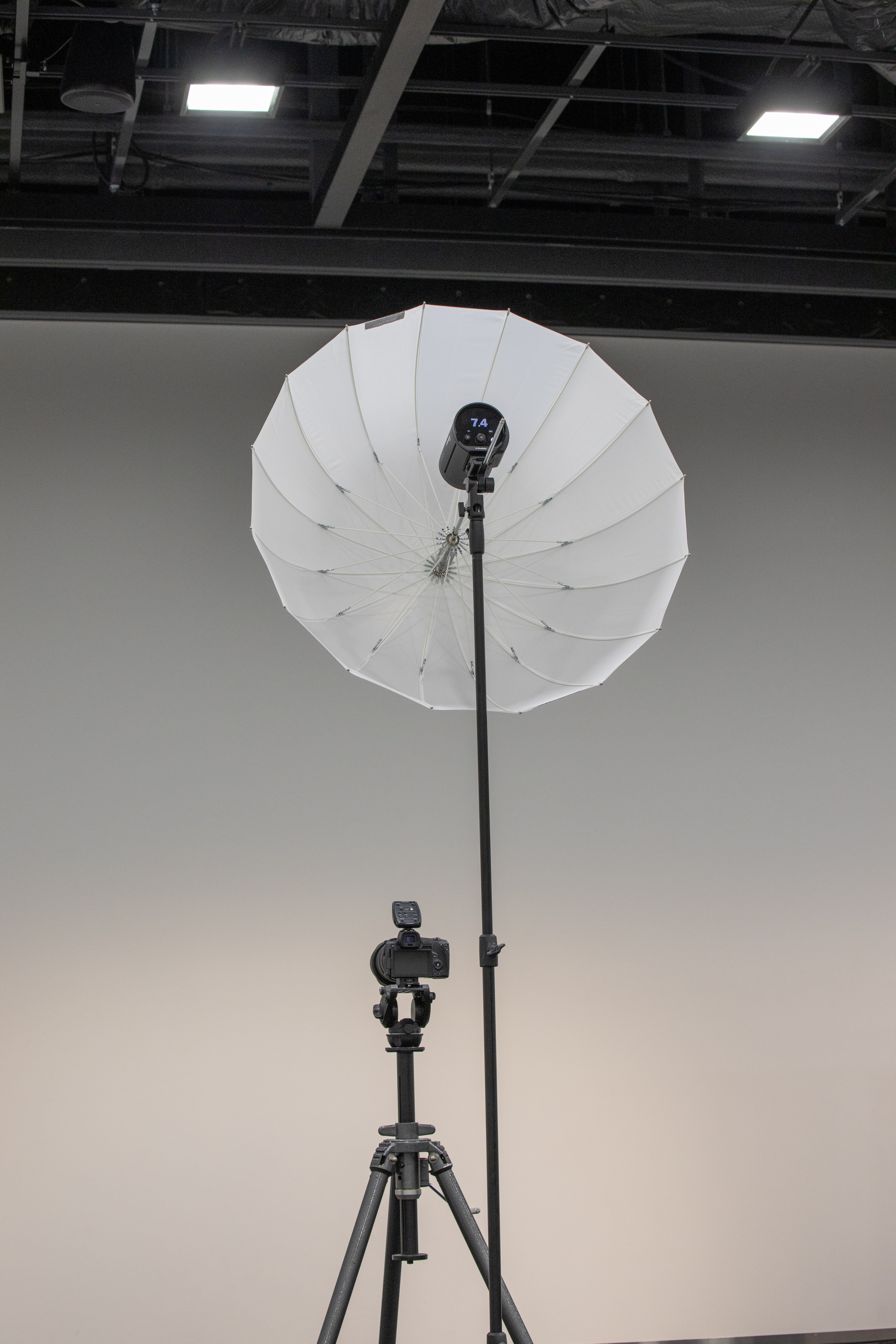 Profoto 写真撮影用アンブレラ トランスルーセント M 105cm ポイント3倍/SALE】Profoto(プロフォト) アンブレラ トランス