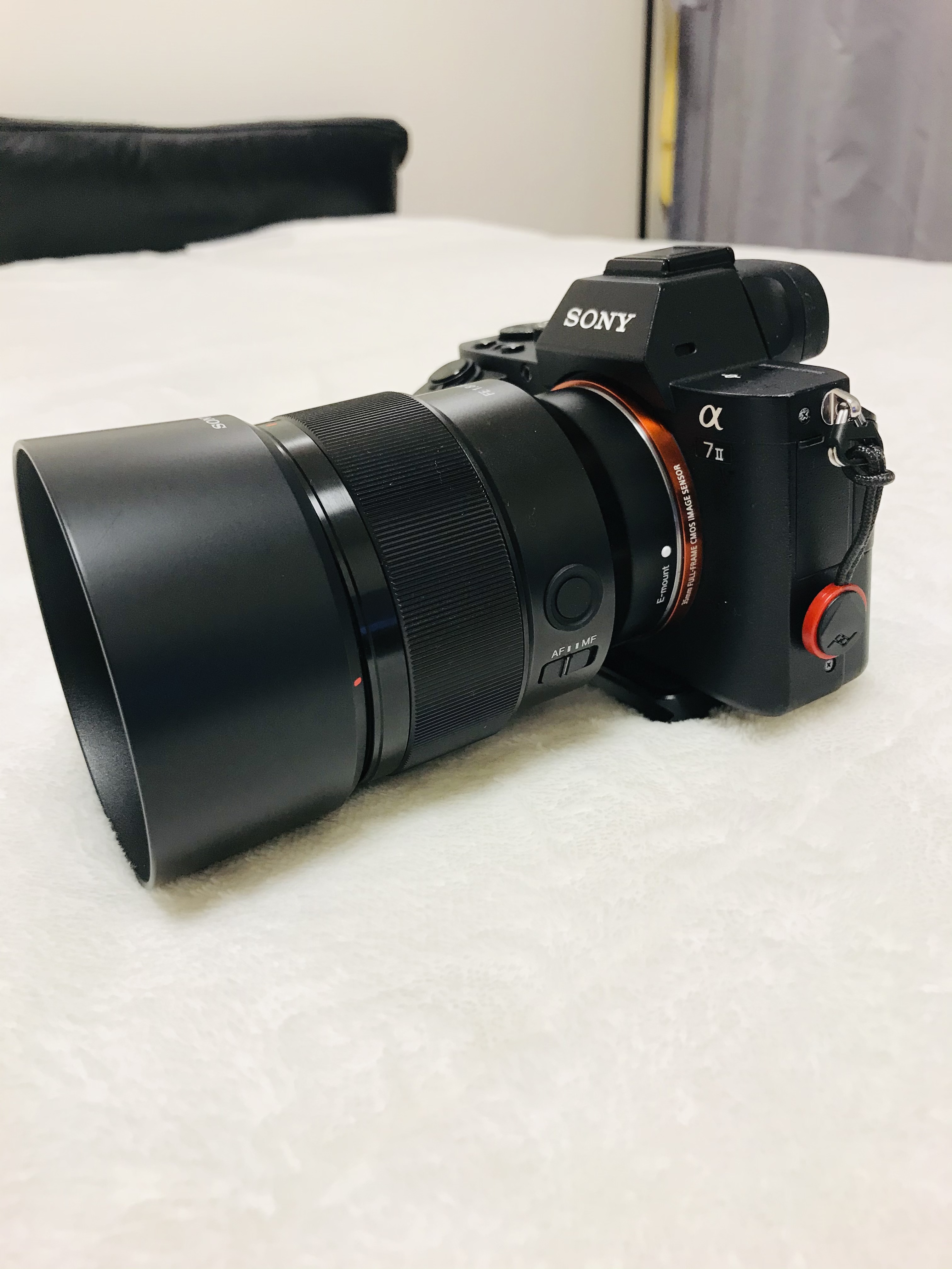 TAMRON 28-200mm F2.8-5.6 Di Ⅲ RXD SONY コミュレビ」「エブリバディ・コンシェルジュ」|マップカメラ