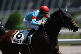 TAMRON 16-300mm F3.5-6.3 VC PZD キヤノン コミュレビ」「エブリバディ・コンシェルジュ」｜マップカメラ｜日本