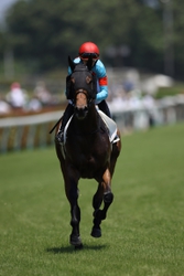 b558c7d2b029b032e7045de063b6cb